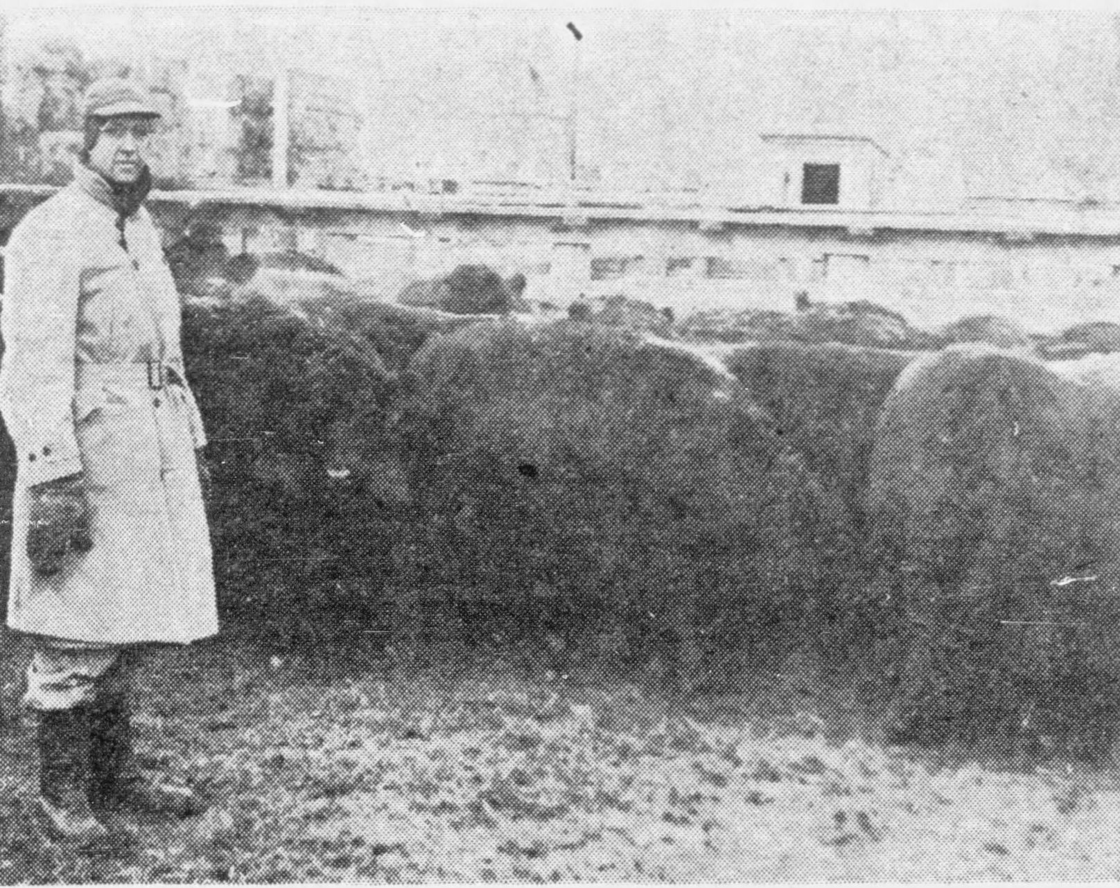 At the Stockyards: Jan. 20, 1964